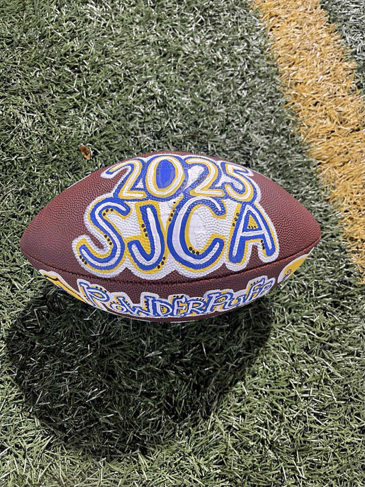 Custom Painted Volleyball